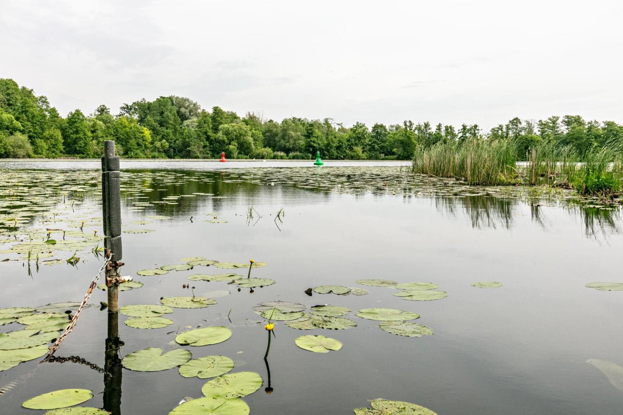 فيلا Haus Am See Königs Wusterhausen المظهر الخارجي الصورة