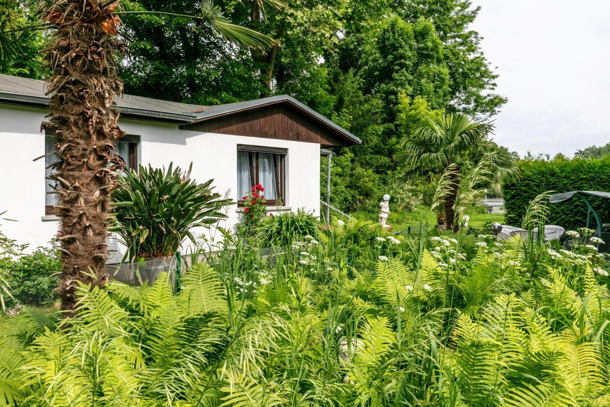 فيلا Haus Am See Königs Wusterhausen المظهر الخارجي الصورة